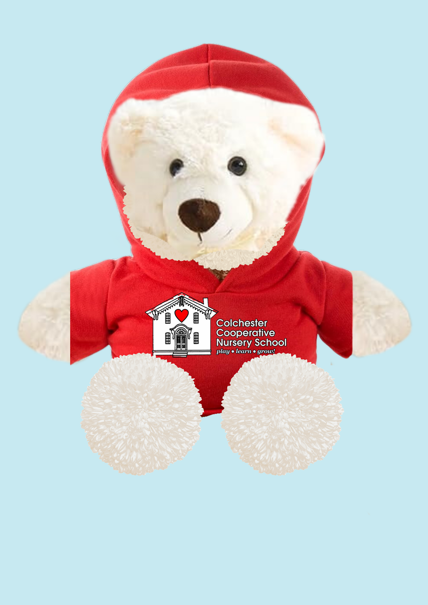 CCNS Teddy Bear