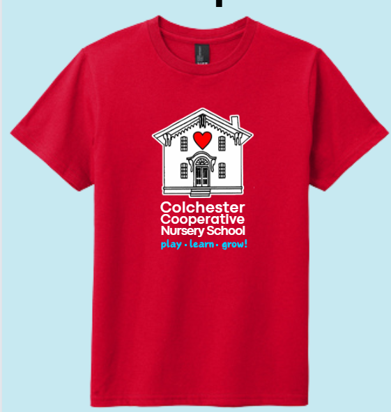 Youth Tee Shirt